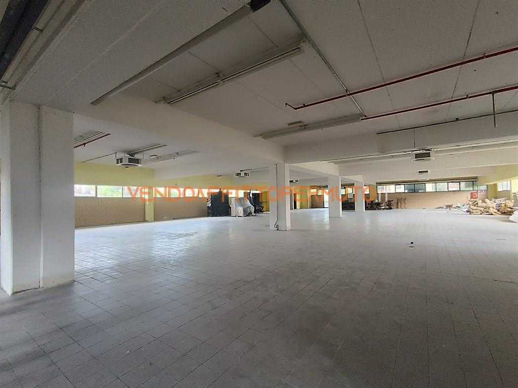  - foto 6