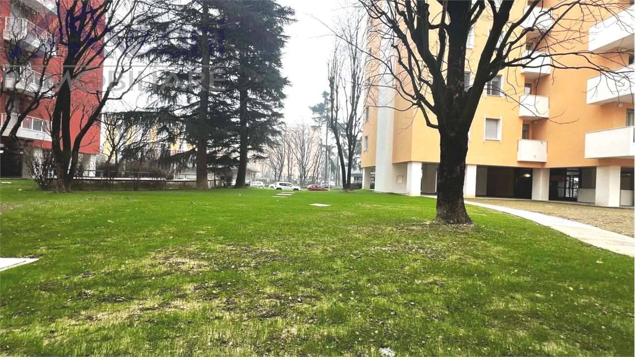 immagine annuncio 2 di 3