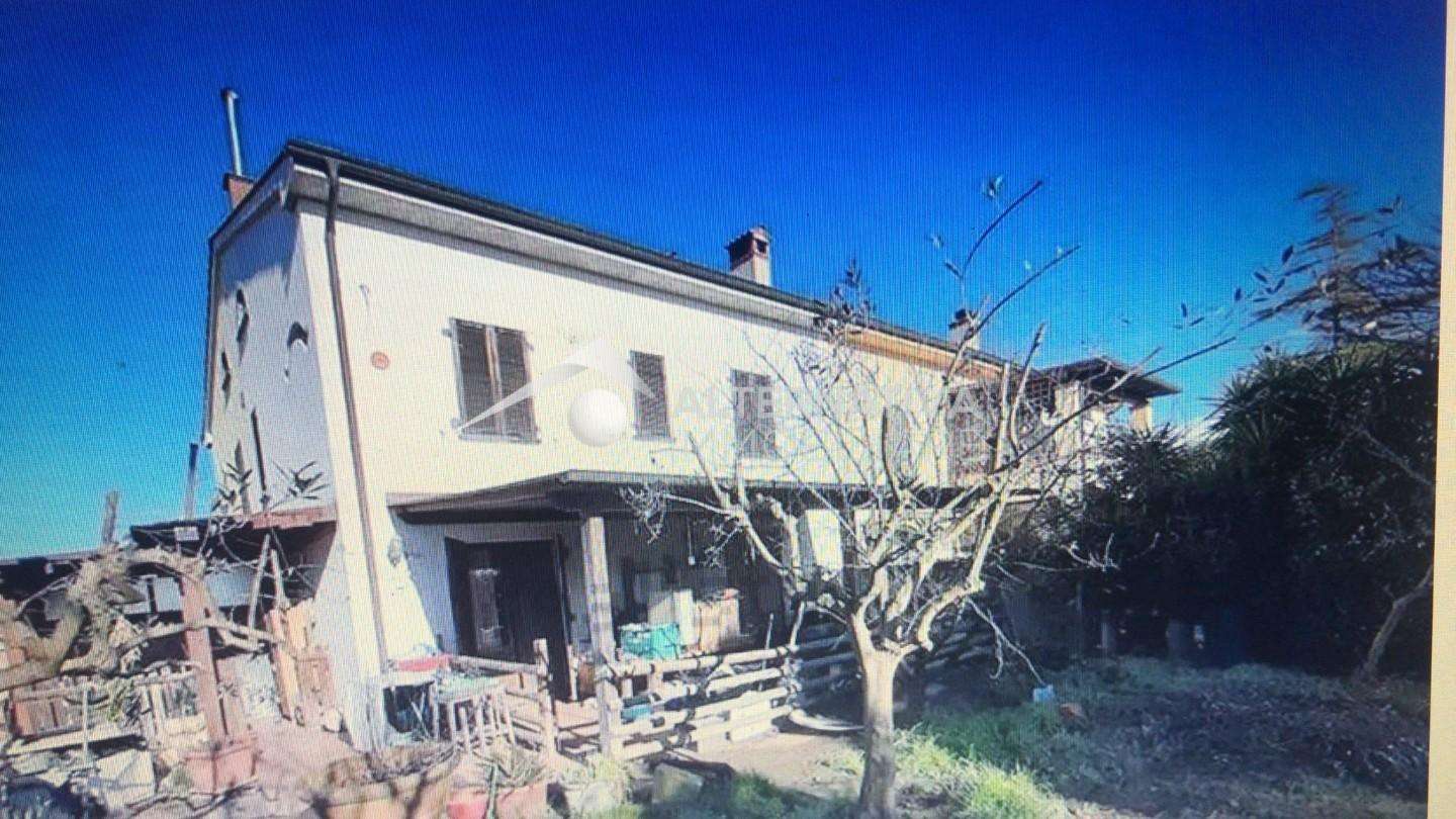 immagine annuncio 3 di 11