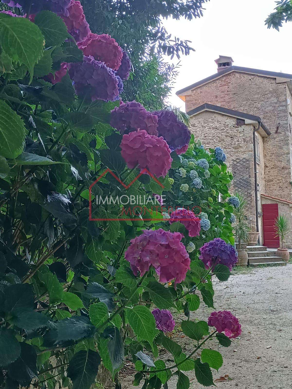 casa indipendente in vendita a Pietrasanta in zona Valdicastello