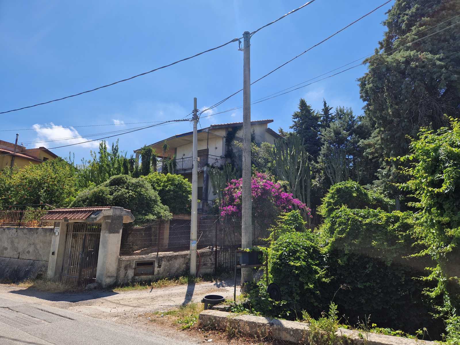 immagine annuncio 3 di 6