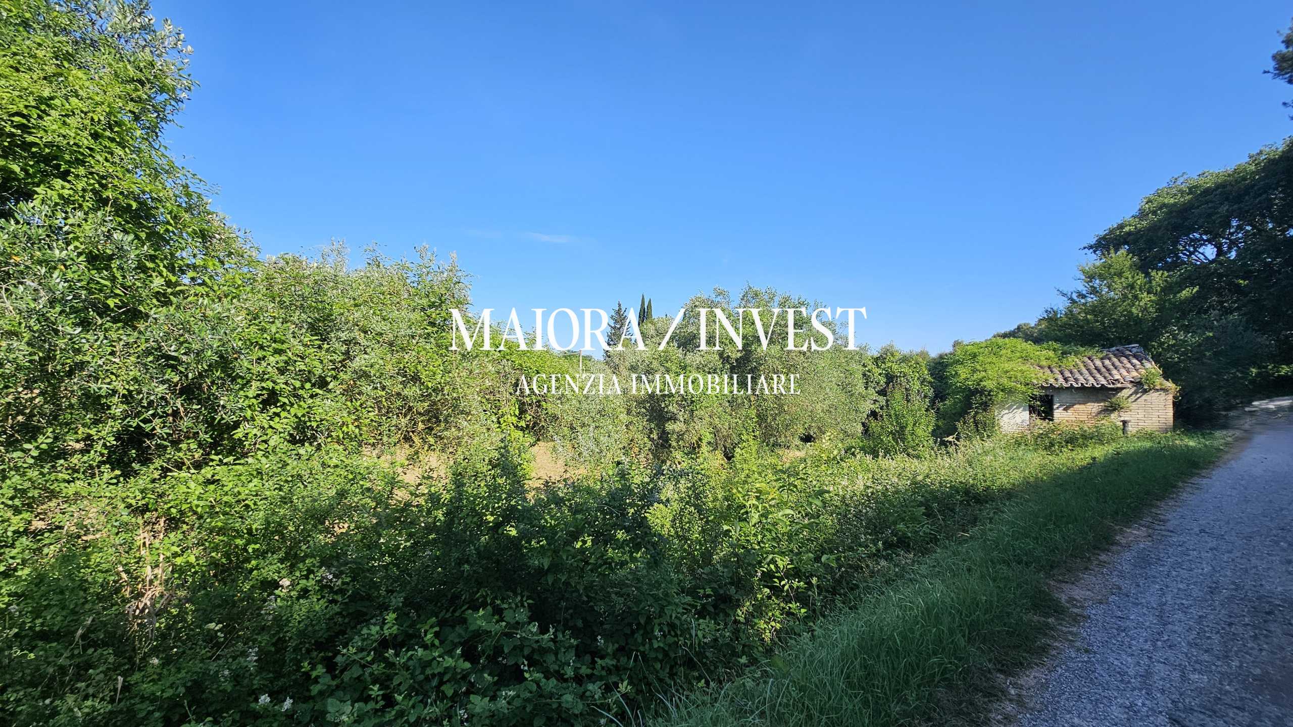  - foto 13