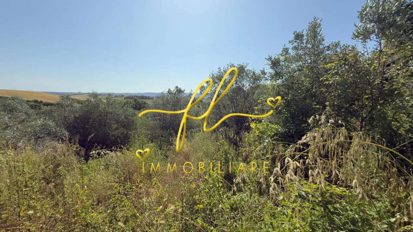  - foto 15