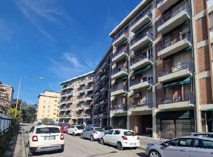 immagine annuncio 2 di 4