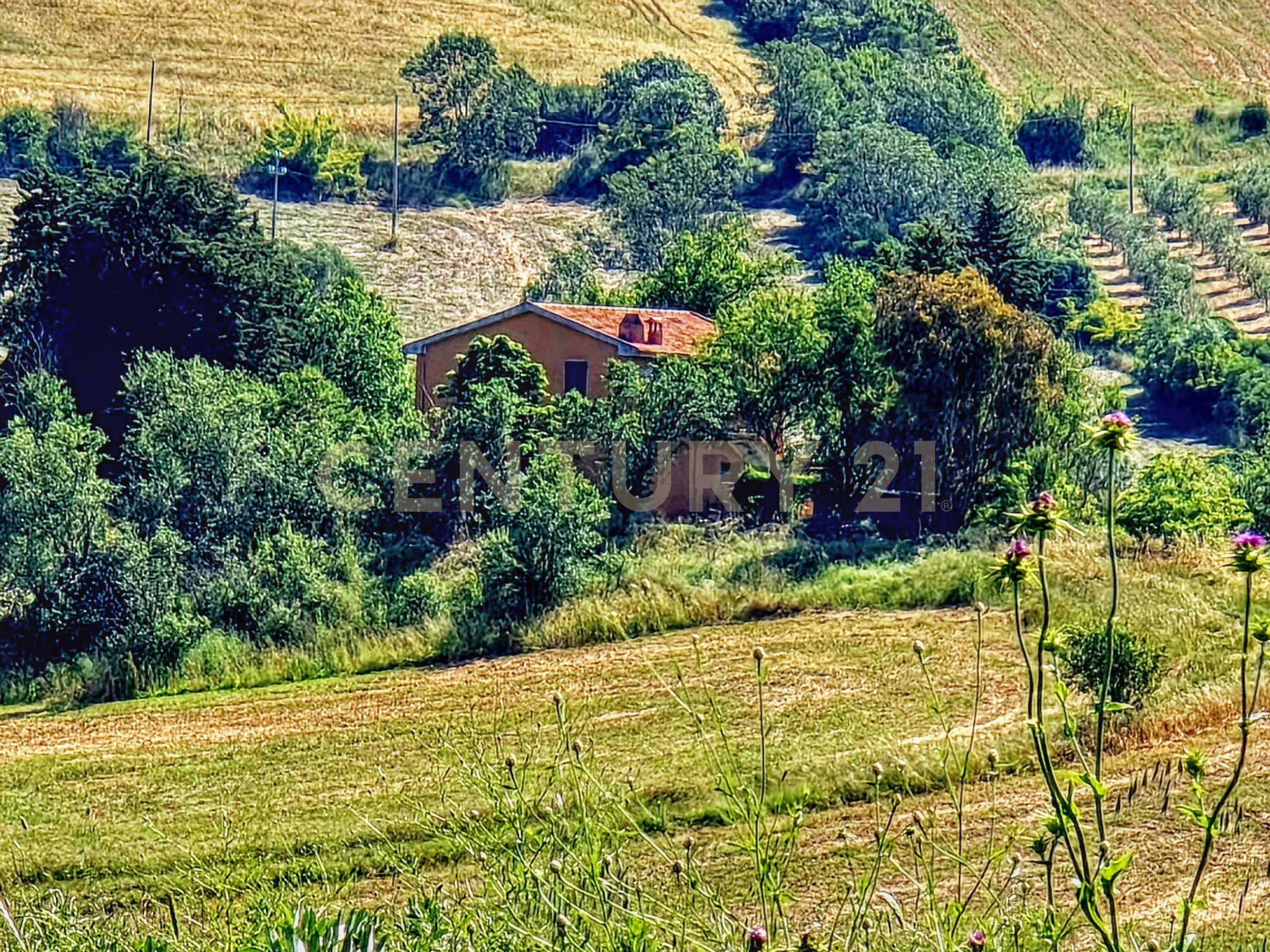  - foto 37
