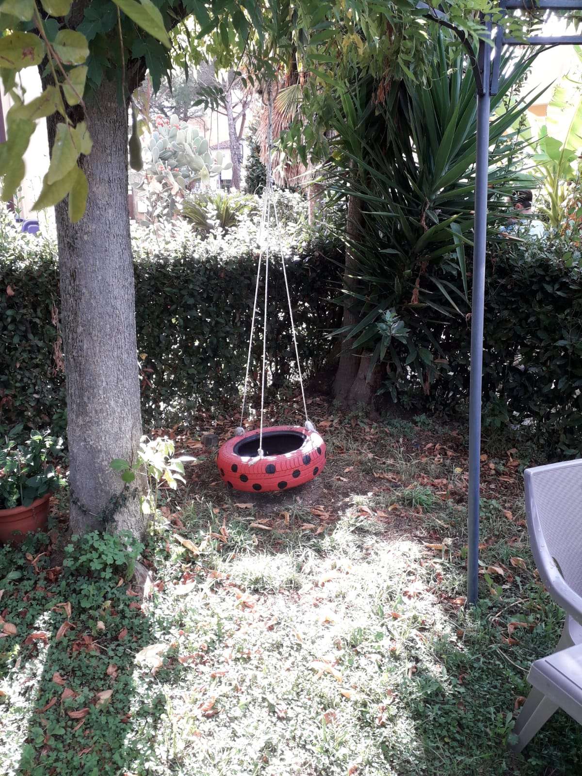  - foto 23