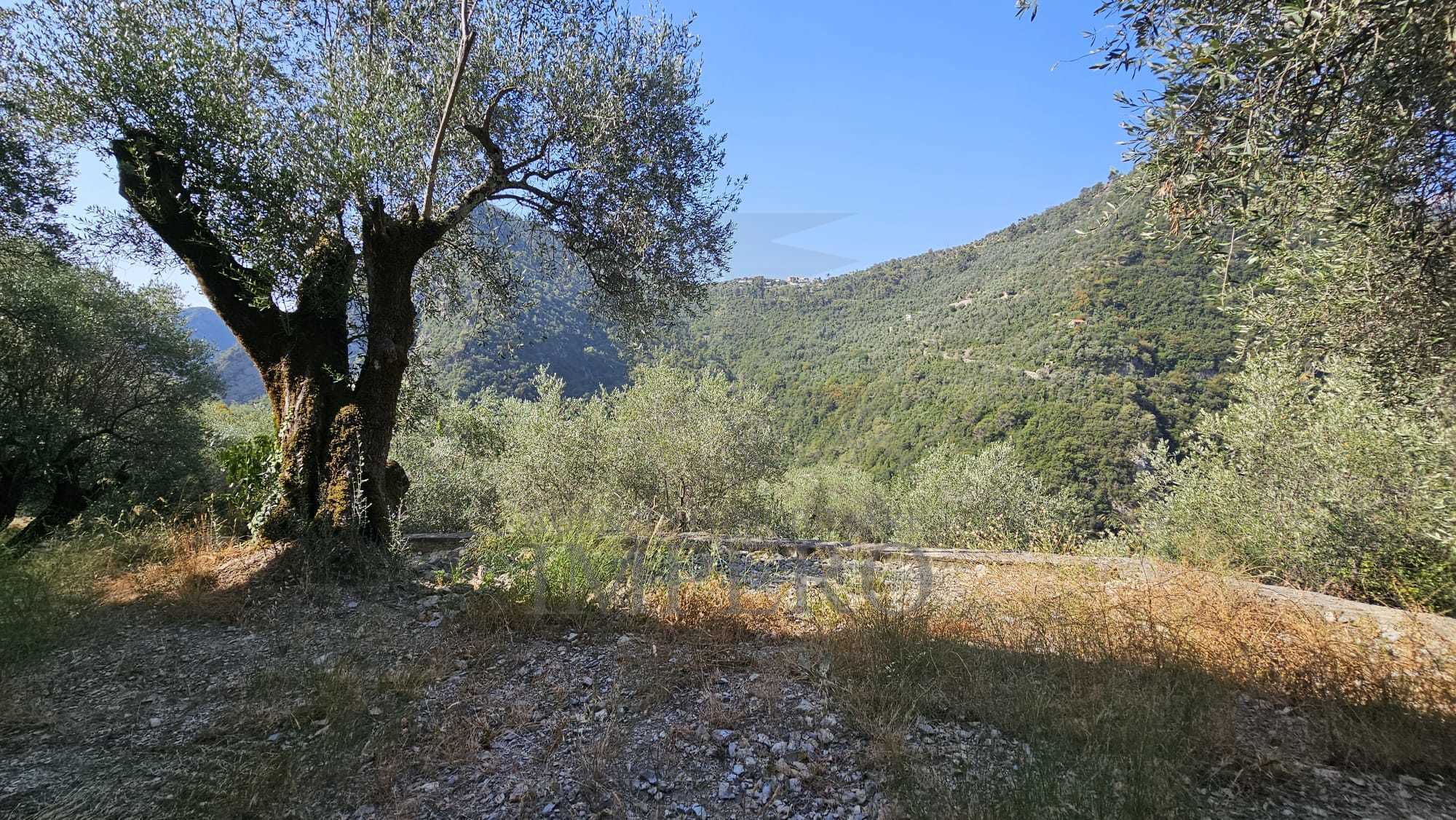  - foto 13