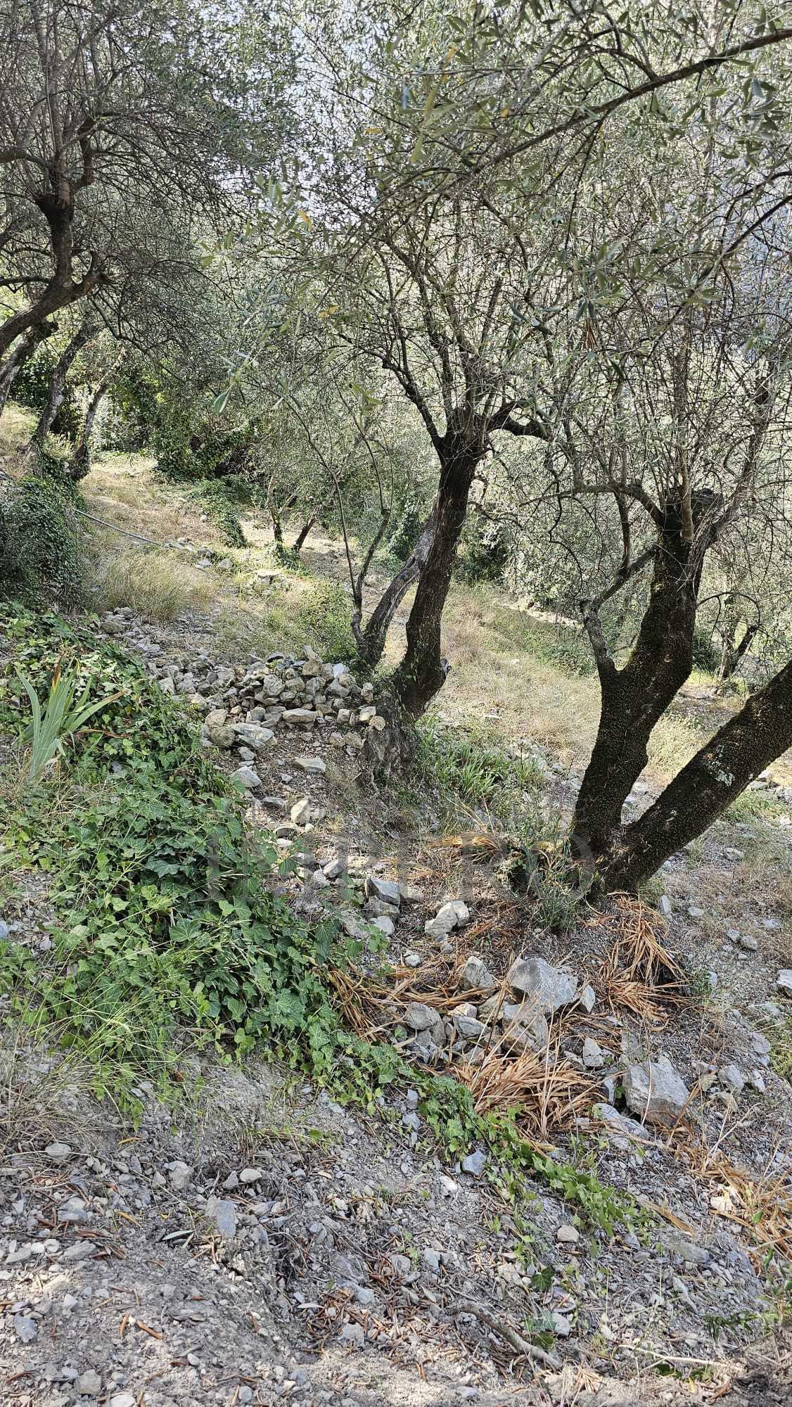  - foto 4