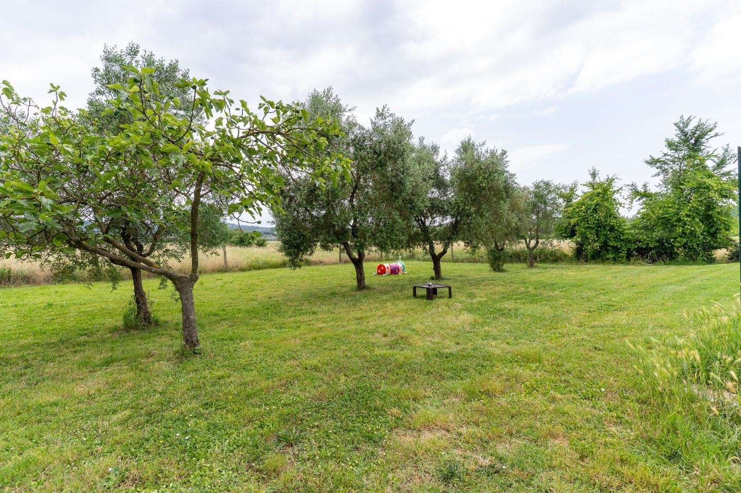  - foto 20