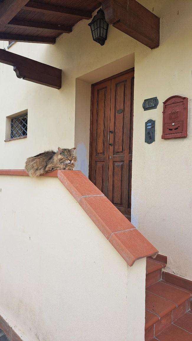  - foto 13
