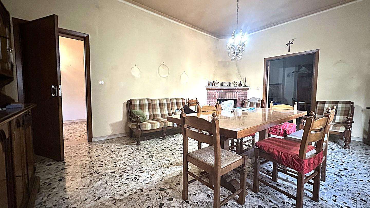  - foto 12