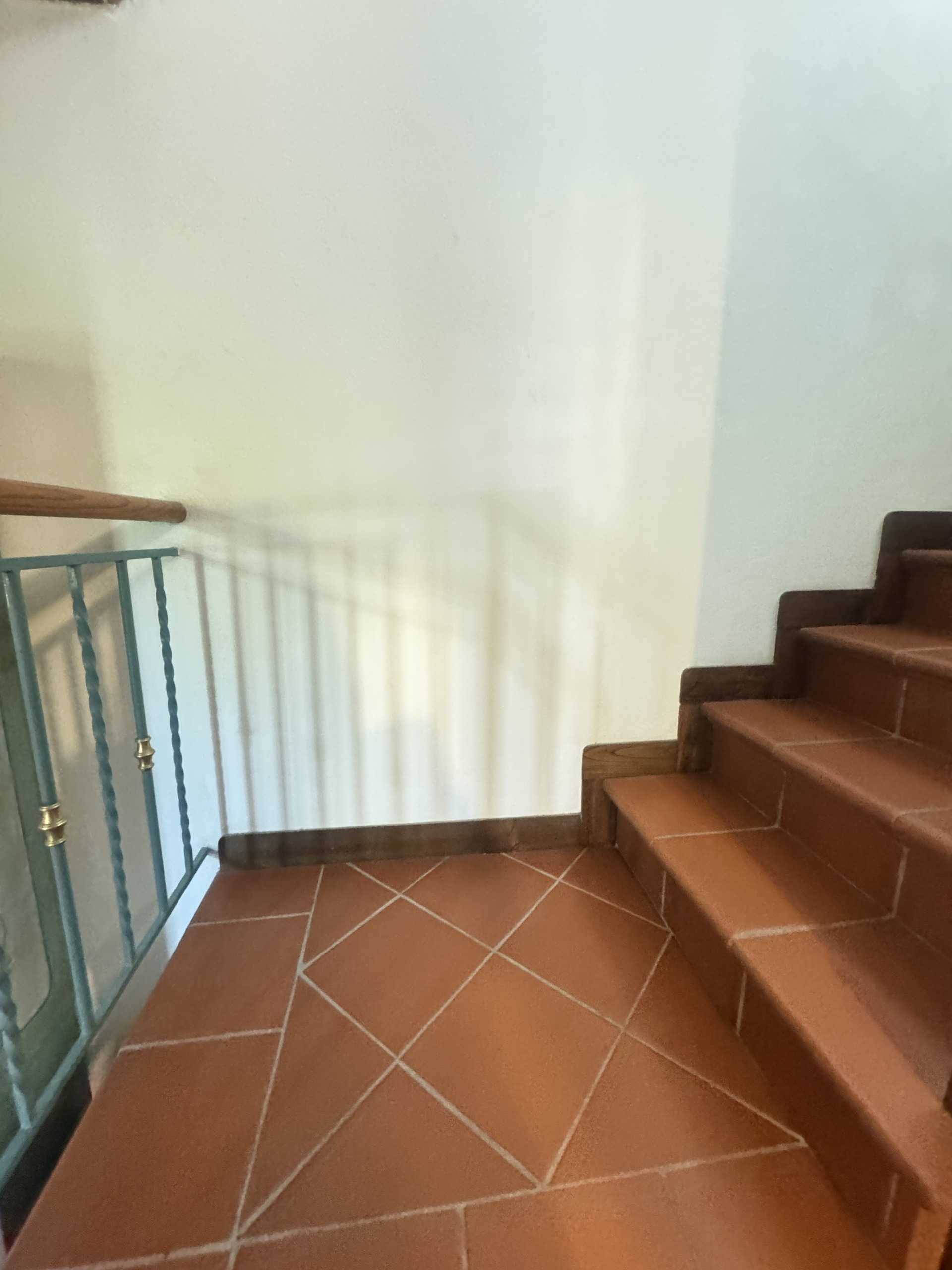 - foto 29