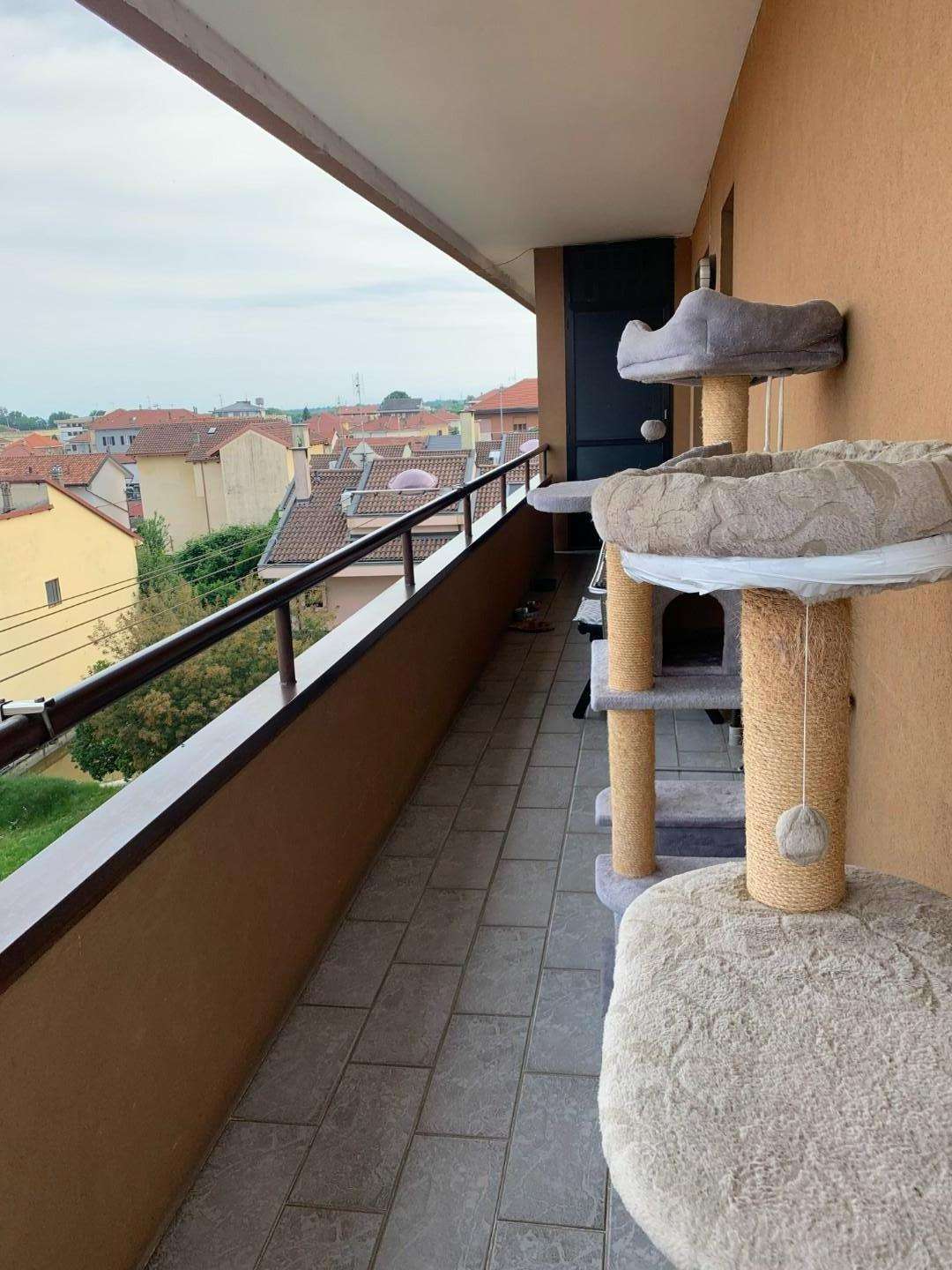  - foto 18