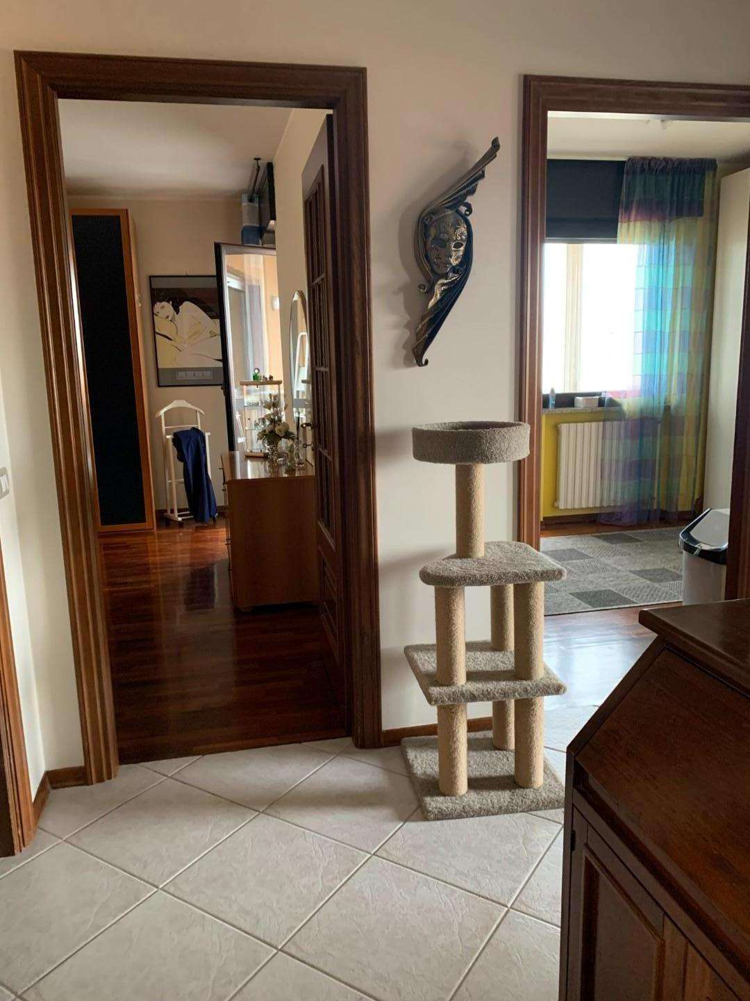  - foto 28