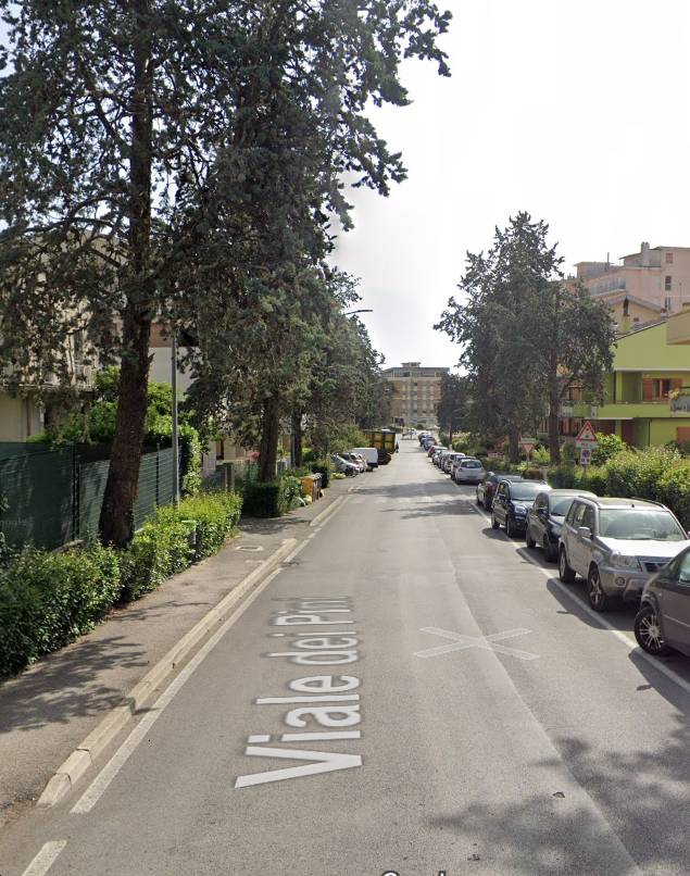 immagine annuncio 1 di 10