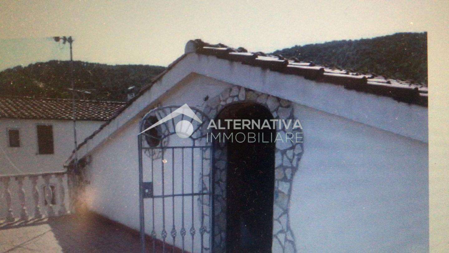 immagine annuncio 2 di 13