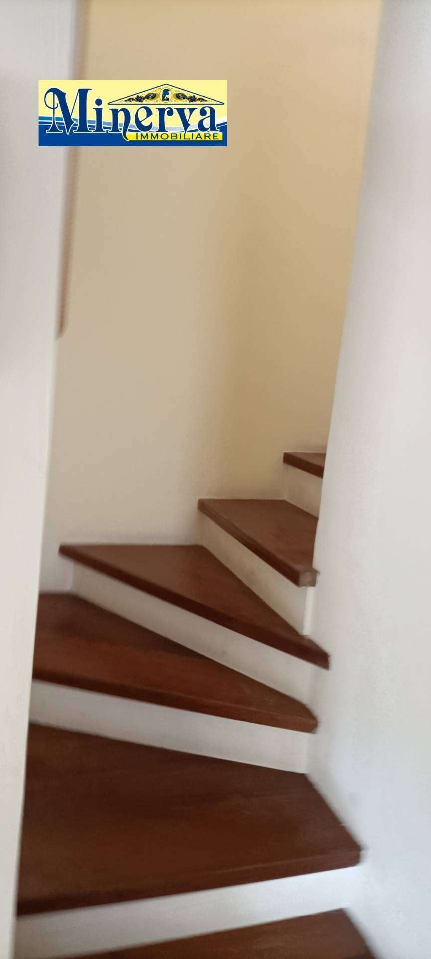  - foto 13