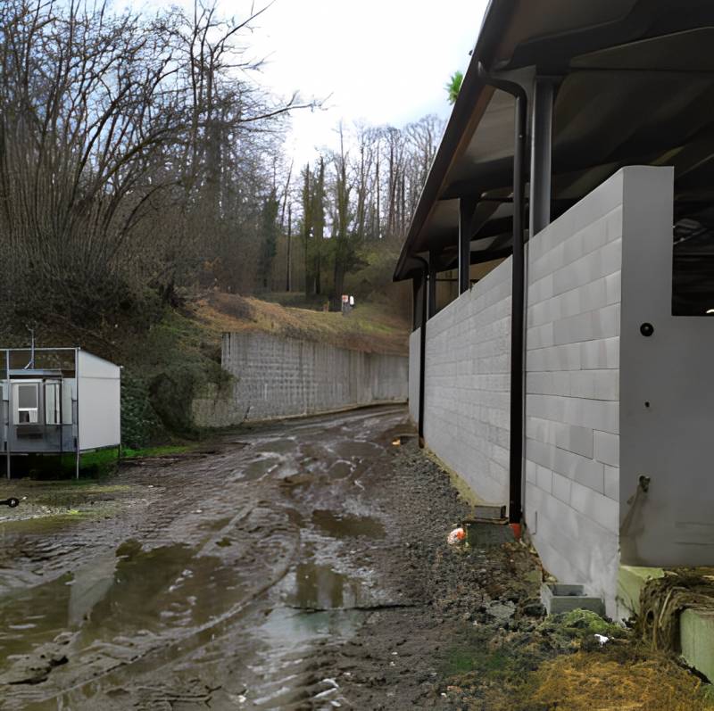 immagine annuncio 6 di 9