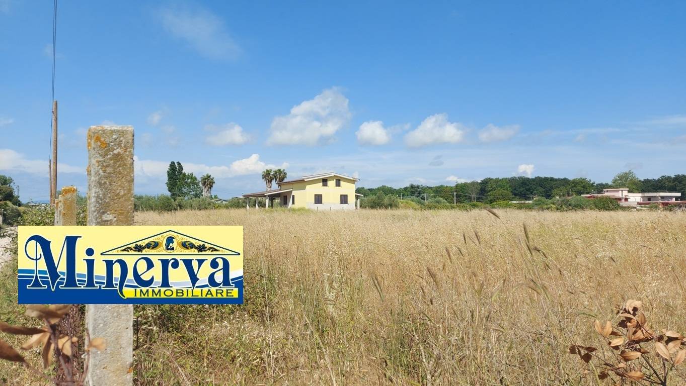 immagine annuncio 4 di 11