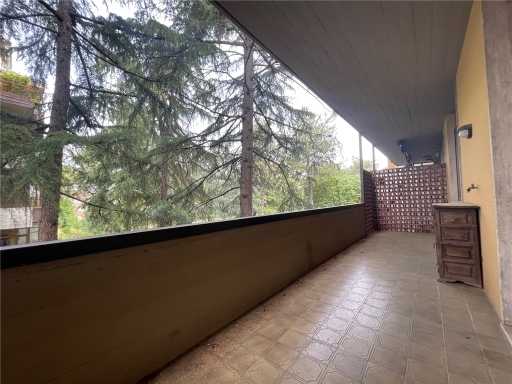  - foto 33