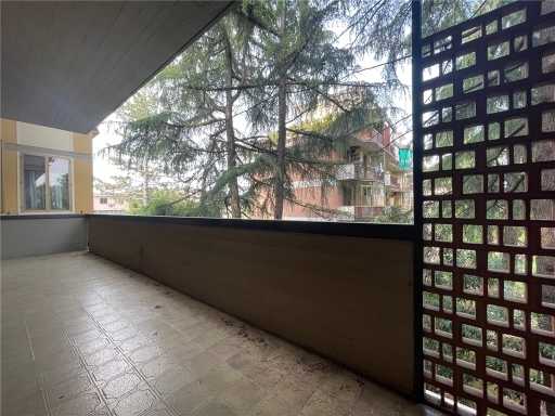  - foto 35