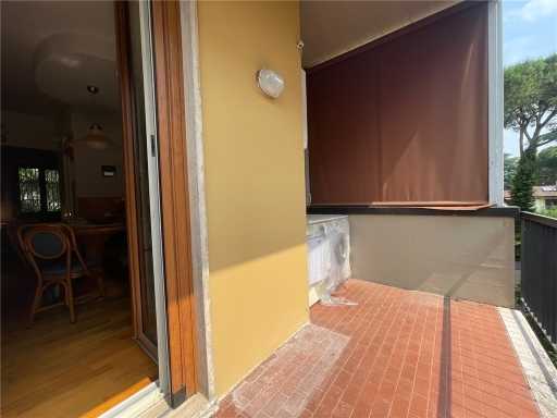  - foto 36