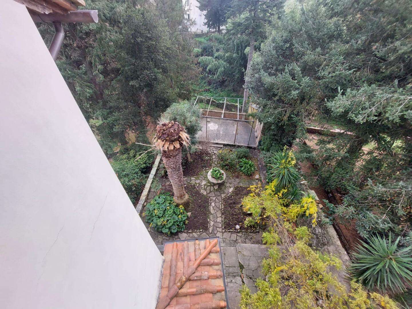  - foto 33