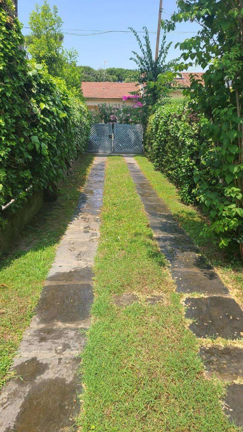  - foto 2