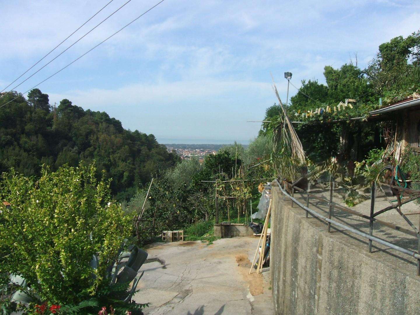  - foto 21
