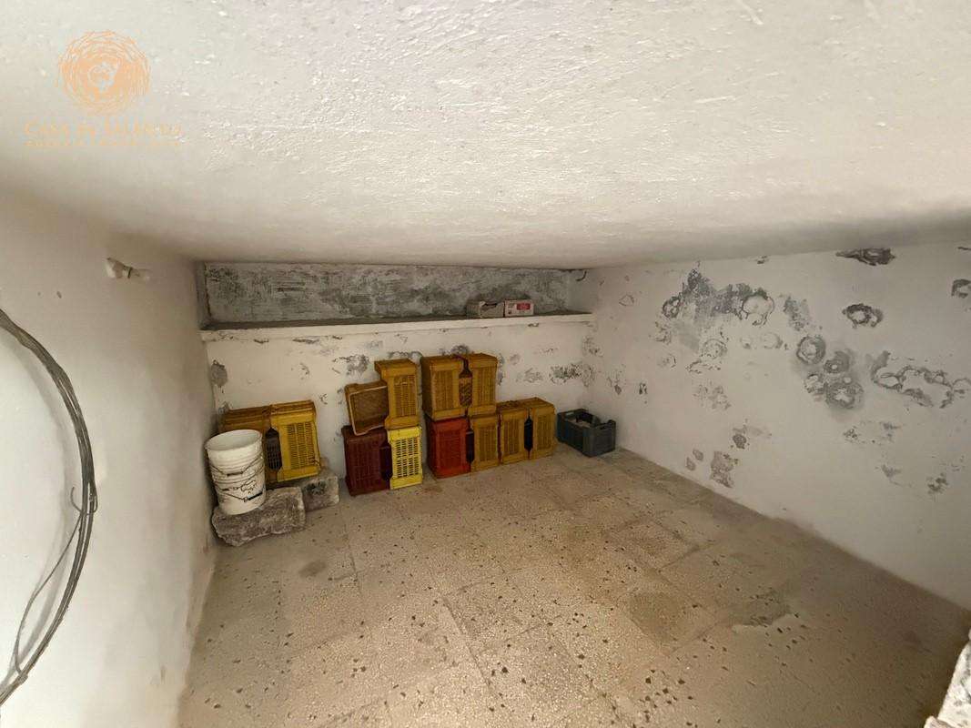  - foto 16