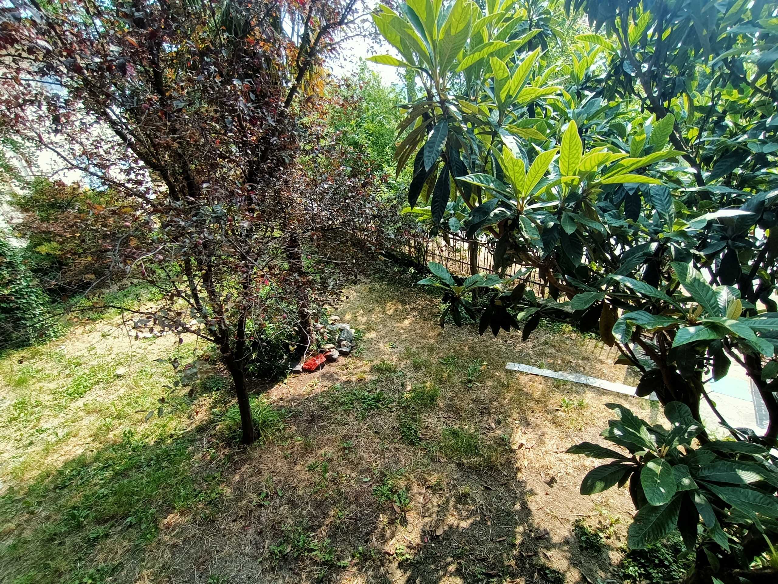  - foto 7