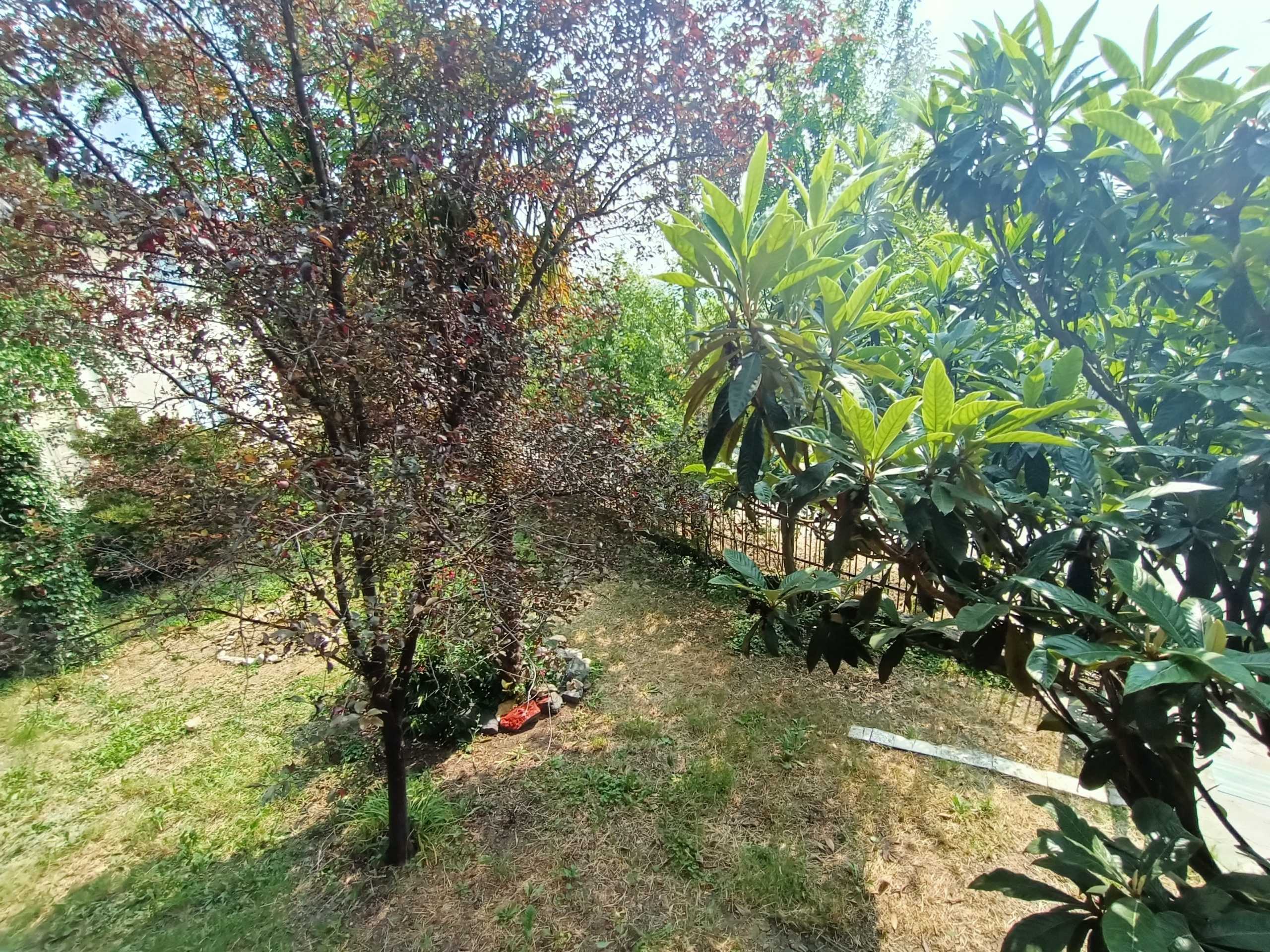  - foto 8