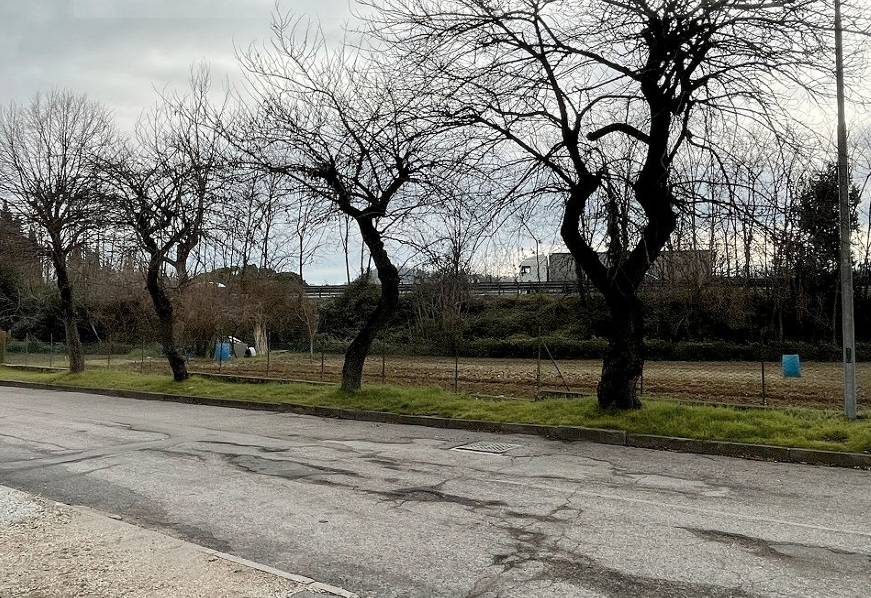 immagine annuncio 8 di 10