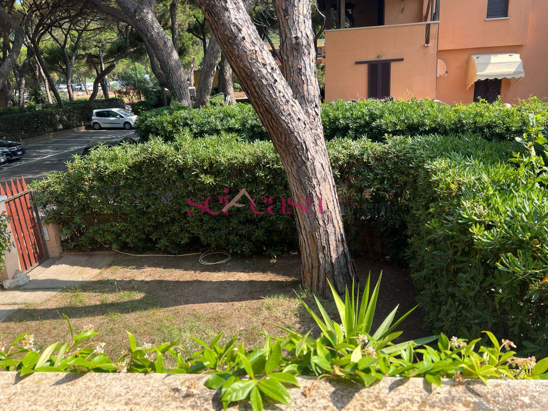  - foto 6