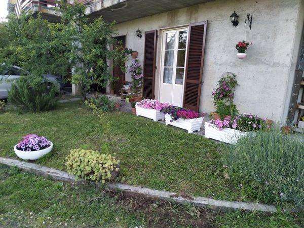  - foto 24