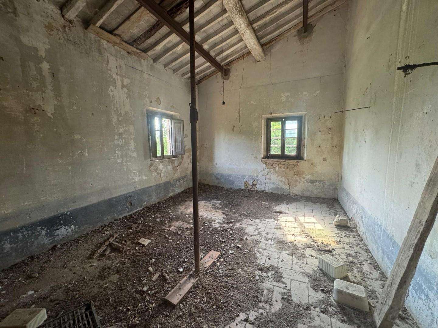  - foto 14