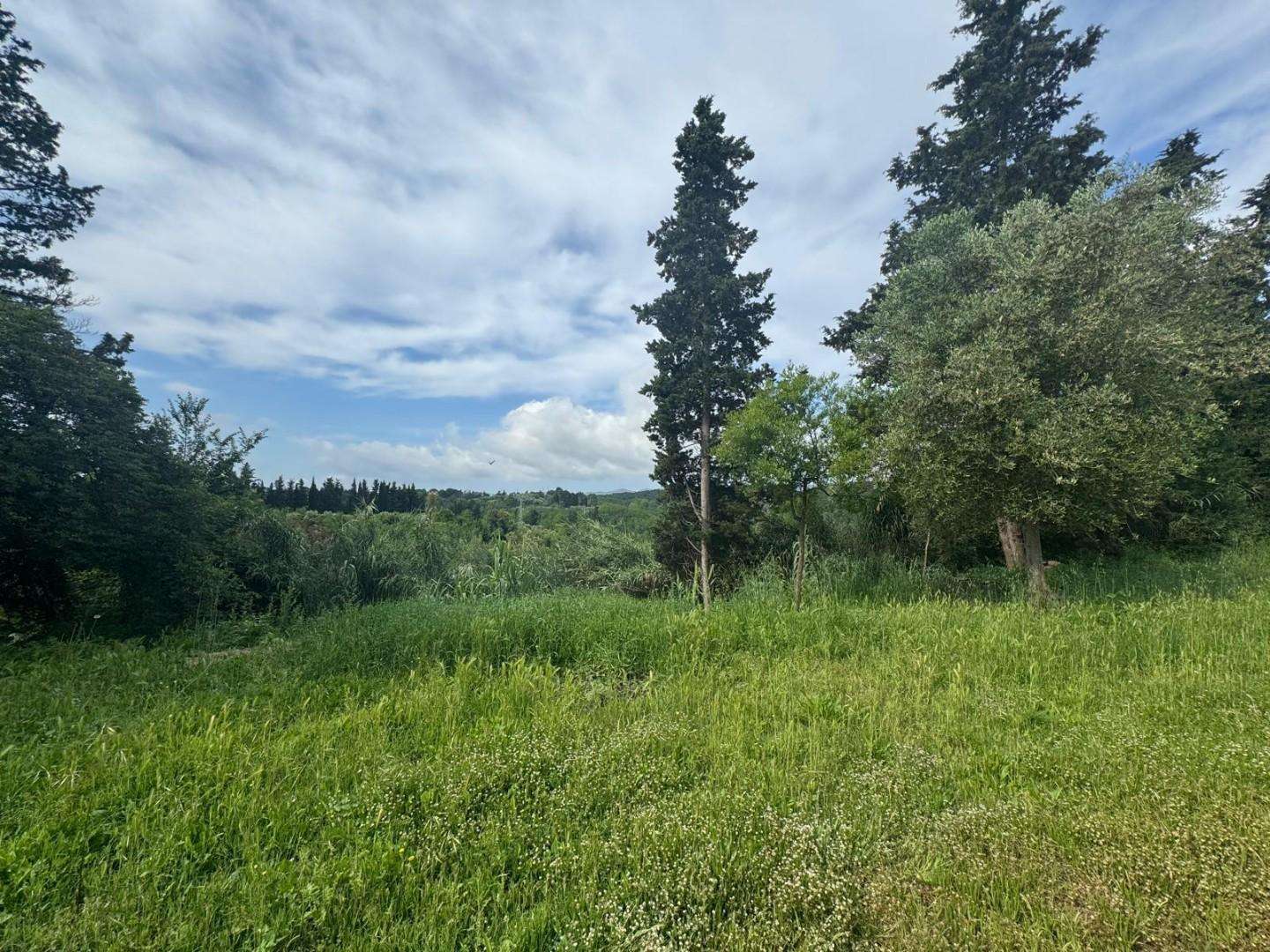  - foto 28