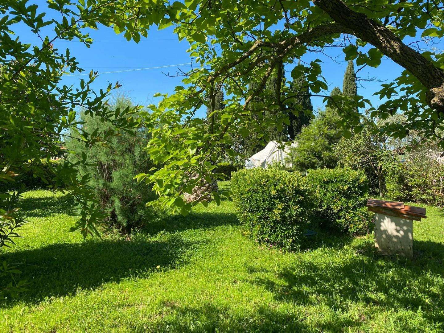  - foto 30