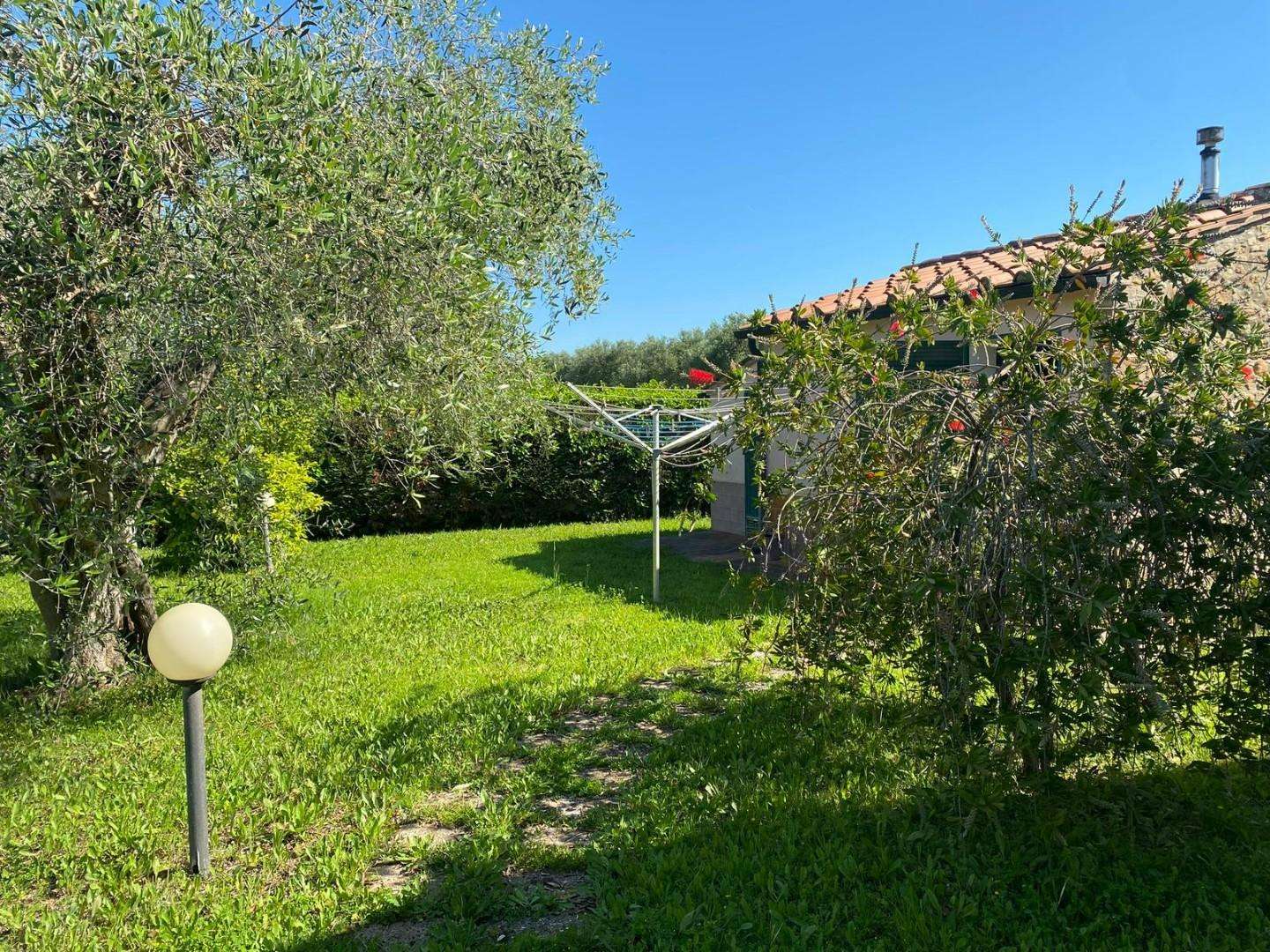 - foto 31