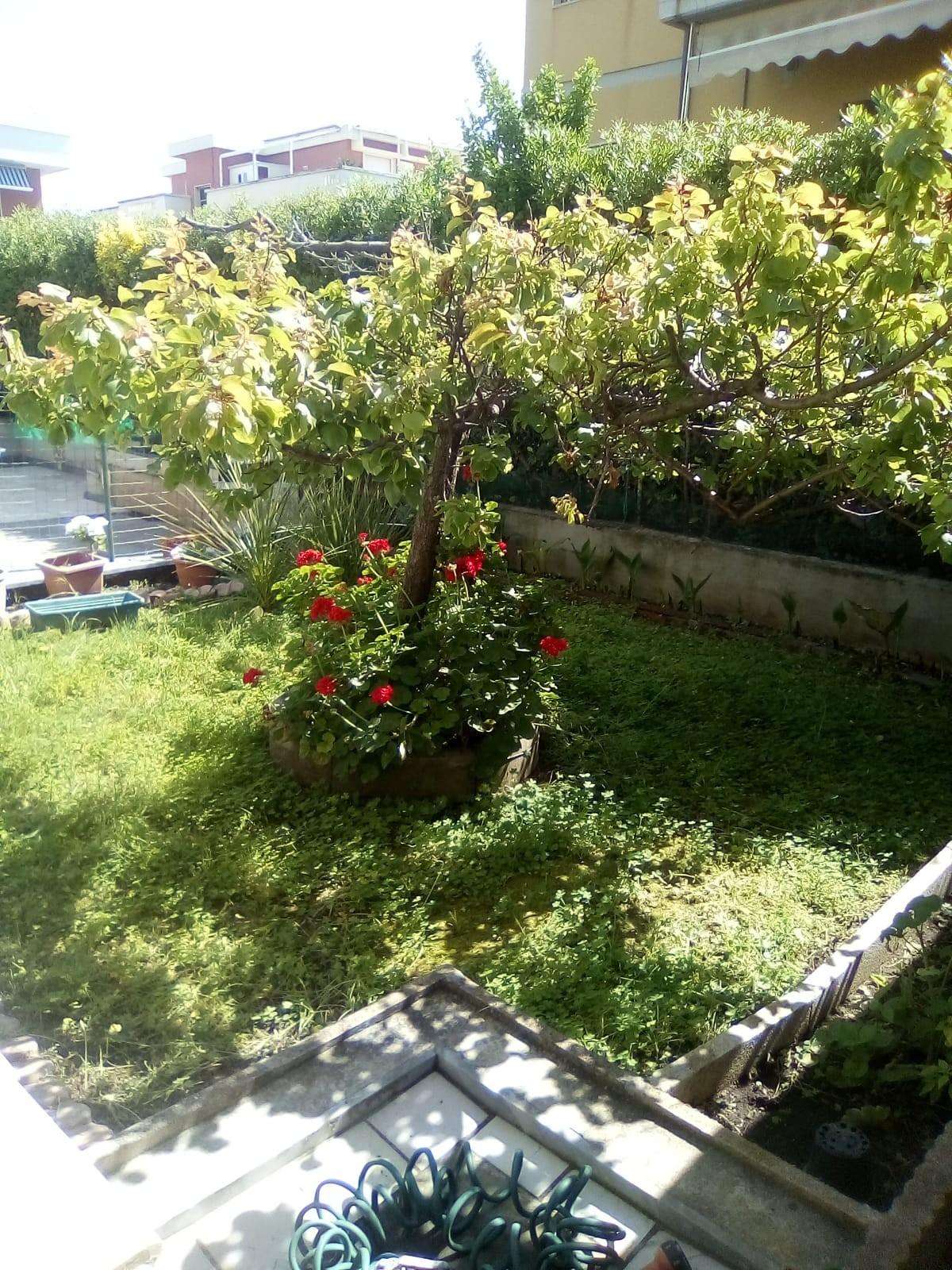  - foto 19