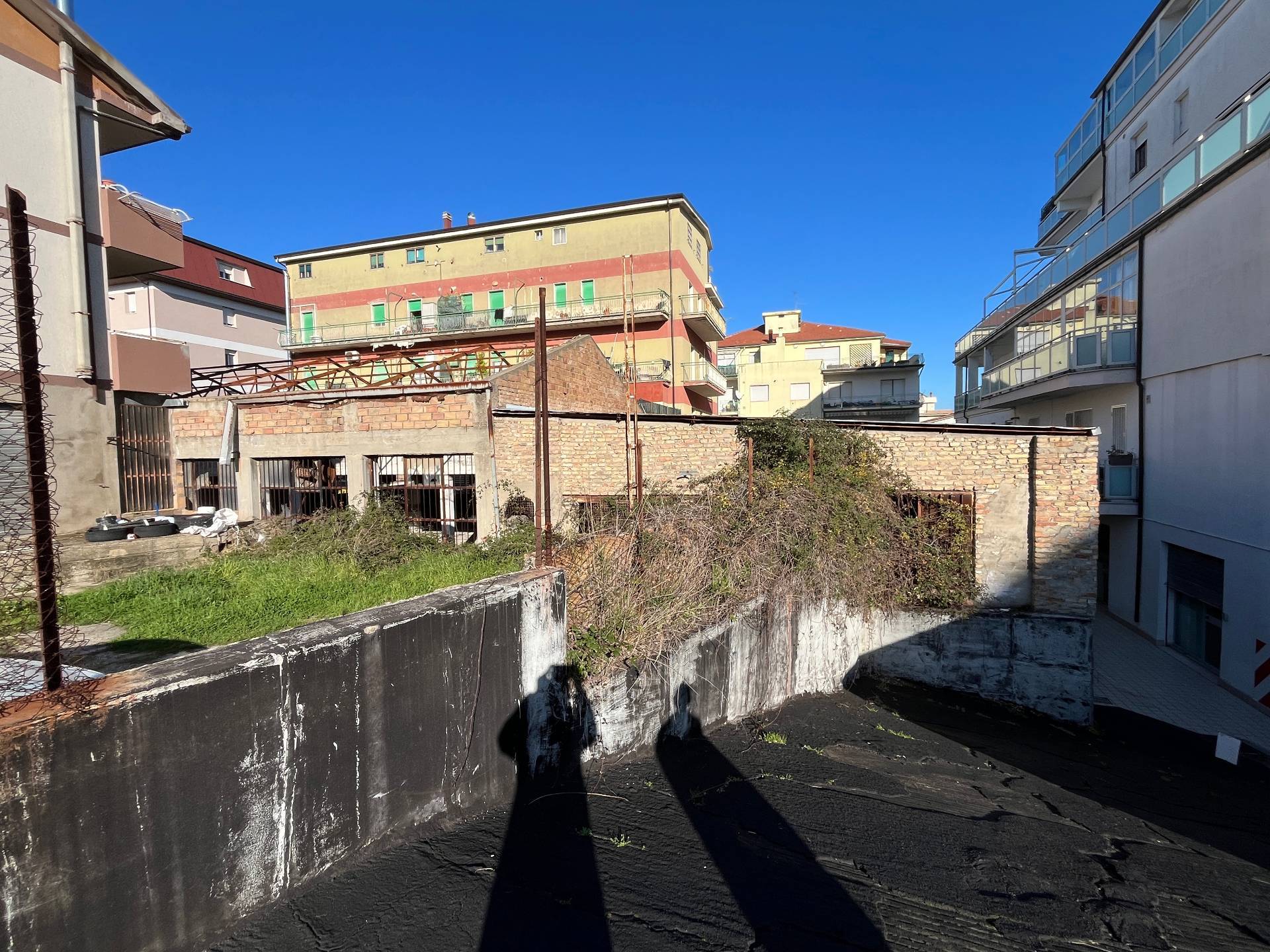 immagine annuncio 5 di 7
