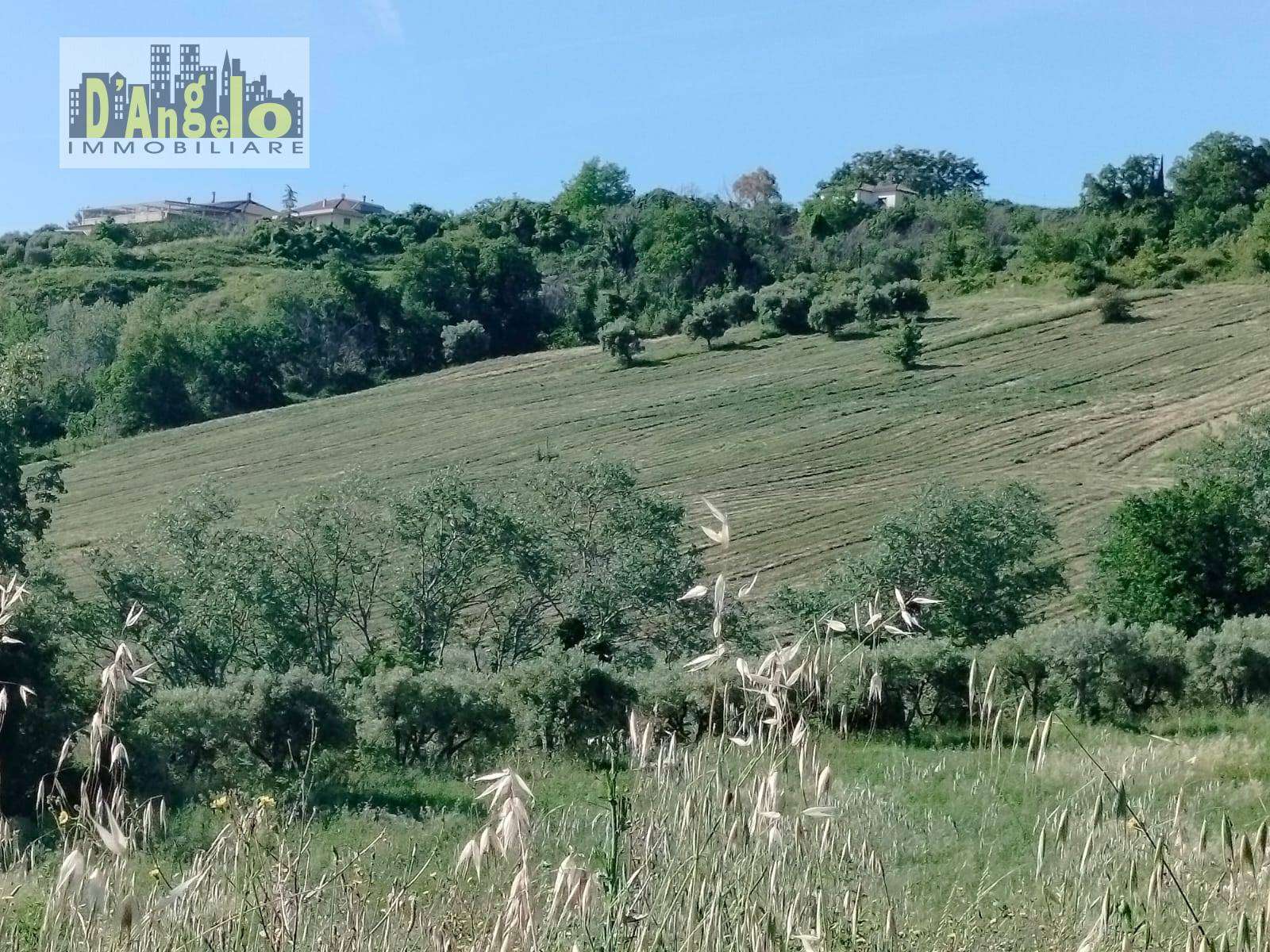  - foto 4