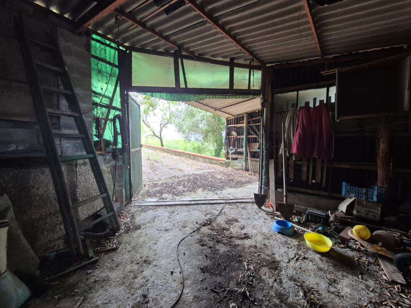  - foto 47