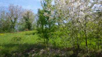  - foto 2