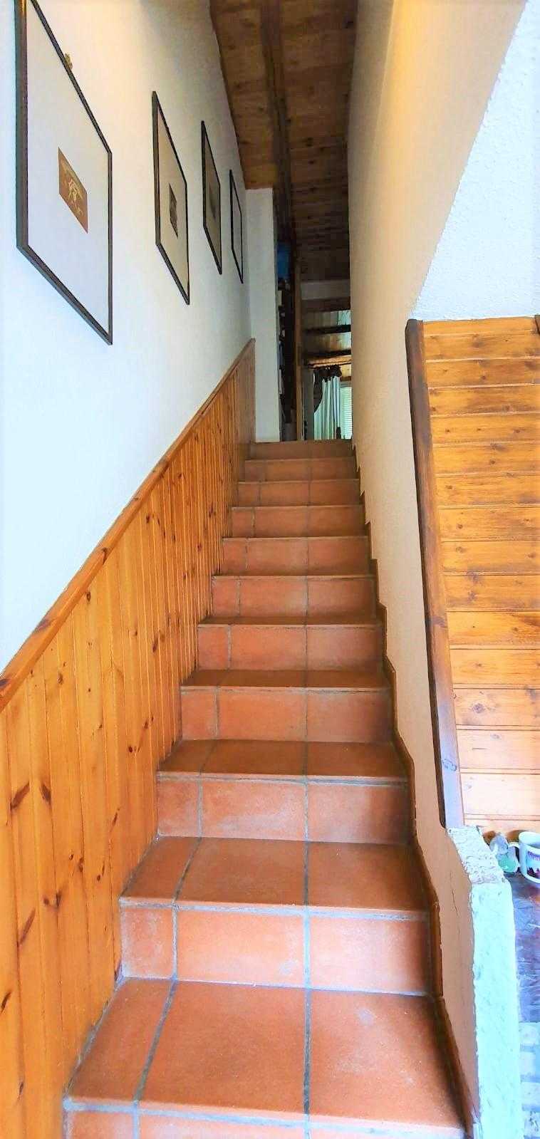  - foto 11