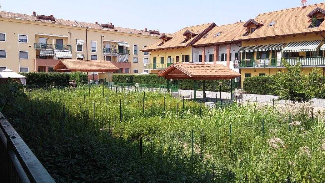  - foto 3