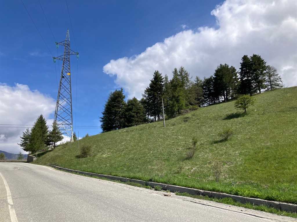 immagine annuncio 2 di 8