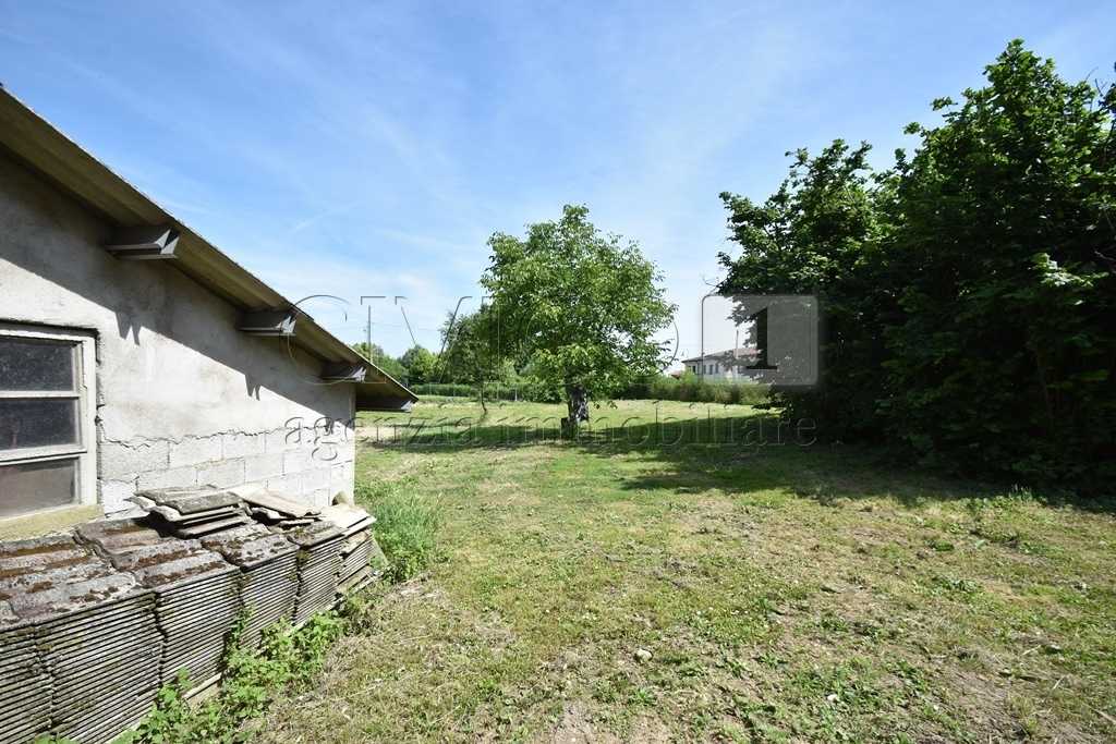  - foto 11