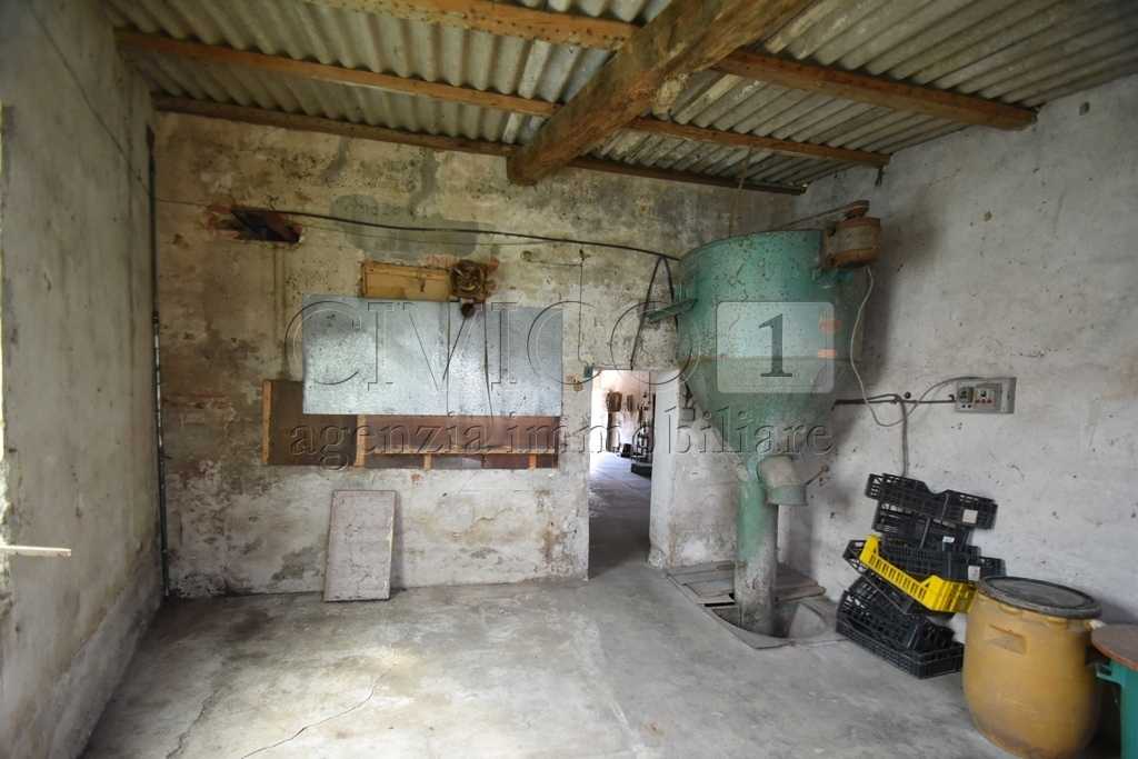  - foto 12