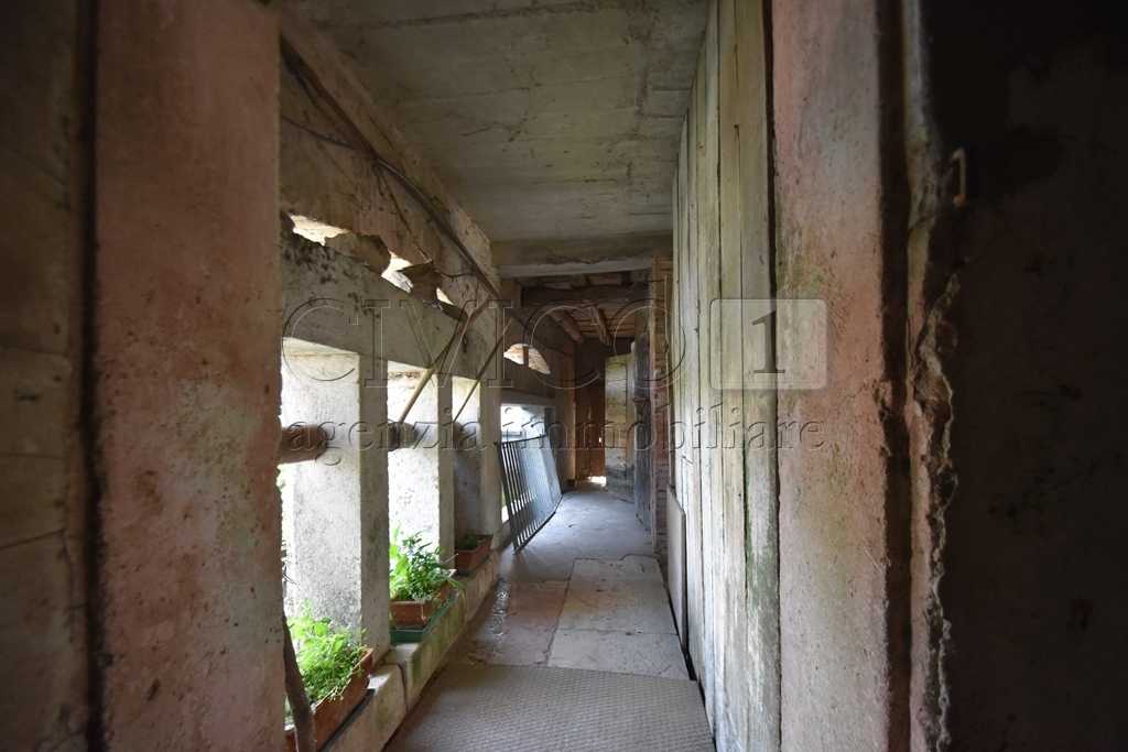  - foto 13